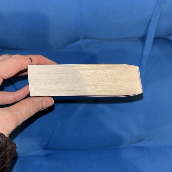 The New Mother A Novel By Nora Murphy Author Of The Favor Soft Cover NWOTS - Picture 3 of 5